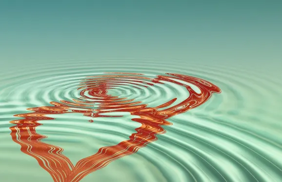 ראגבט קזינו תמיכה